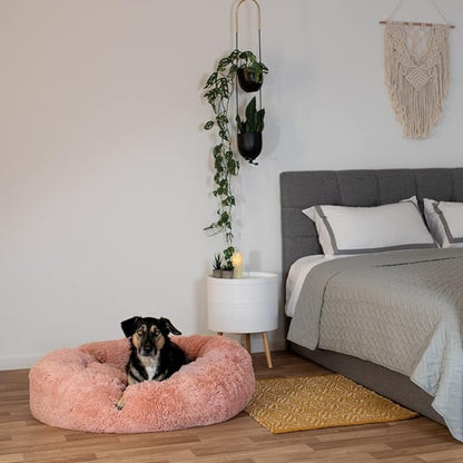 Cuccia per cani e gatti - Zampasoft™